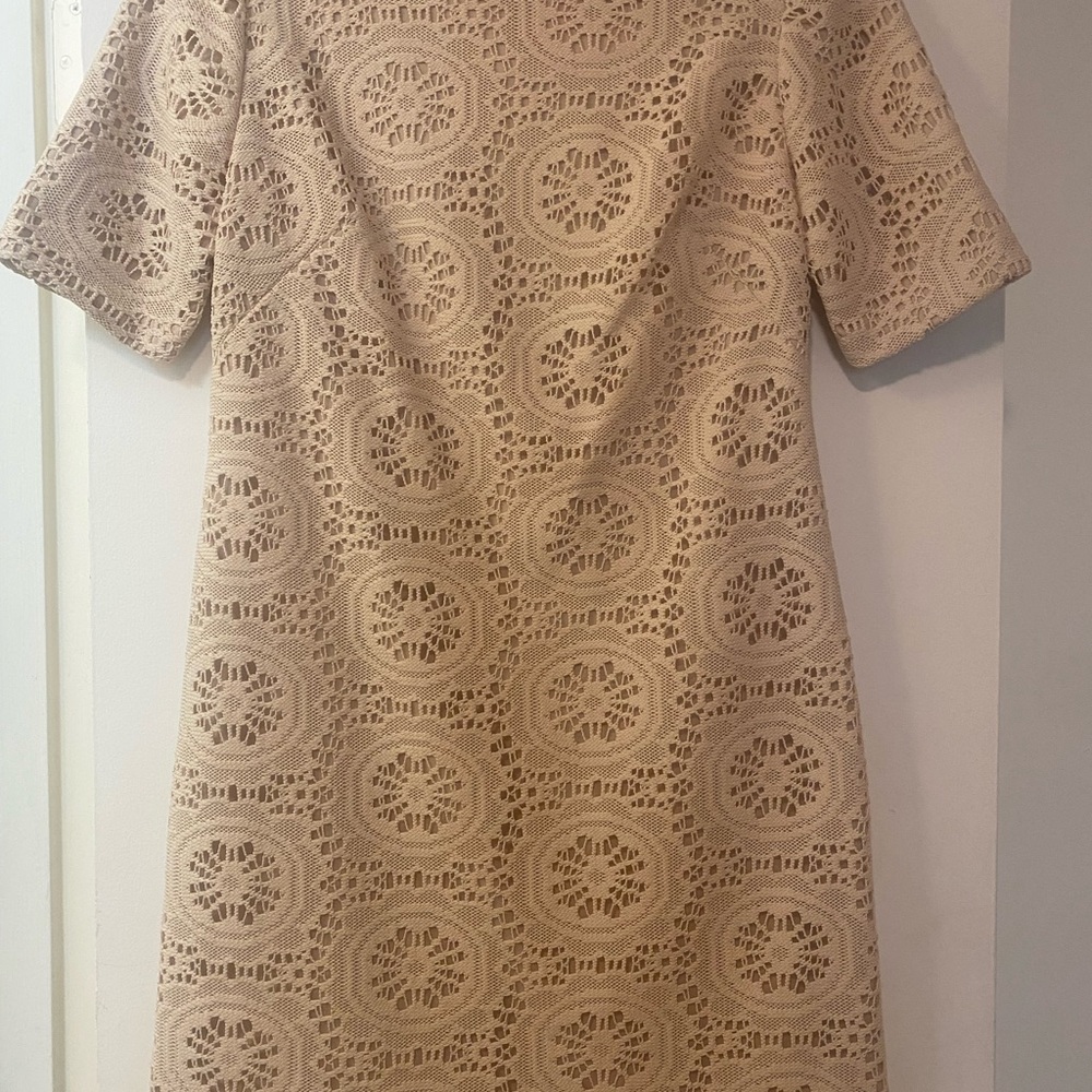 Eliza J Nude Crochet Shift Dress | Size 6P | Elegant & Chic